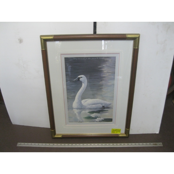 FRAMED PRINT FIRST DAY ISSUE NUMBERED OF SWAN
