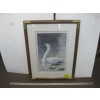 Image 1 : FRAMED PRINT FIRST DAY ISSUE NUMBERED OF SWAN