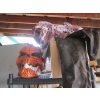 Image 5 : LG. LOT OF ASST. HALLOWEEN DECORATIONS