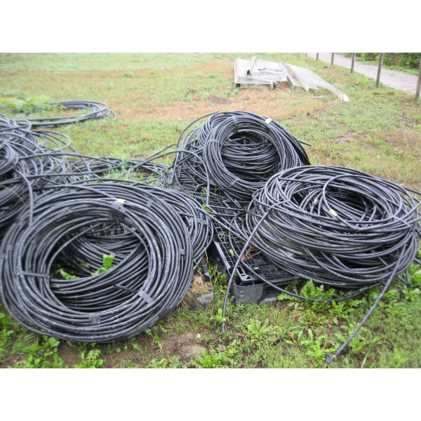 LG. LOT OF PLASTIC DRIP LINE