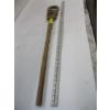 Image 2 : AFRICAN WALKING STICK