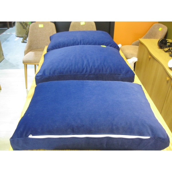 3 BLUE CUSHIONS