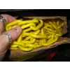 Image 2 : 500' PLASTIC CHAIN