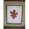 Image 2 : 2 PICTURES OF OAK LEAF & MAPLE LEAF