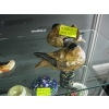 Image 4 : CHALKWARE & CERAMIC DUCKS