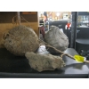 Image 1 : 2 WASP NESTS & MOLTEN ROCK