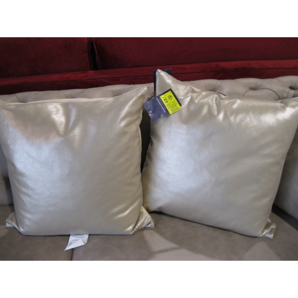 2 MATCHING PILLOWS