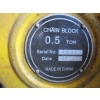Image 3 : 1/2 TON CHAIN HOIST