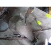 Image 1 : HAND GRINDER & HAND DRILL