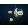 Image 1 : BELT BUCKLE & CAPS
