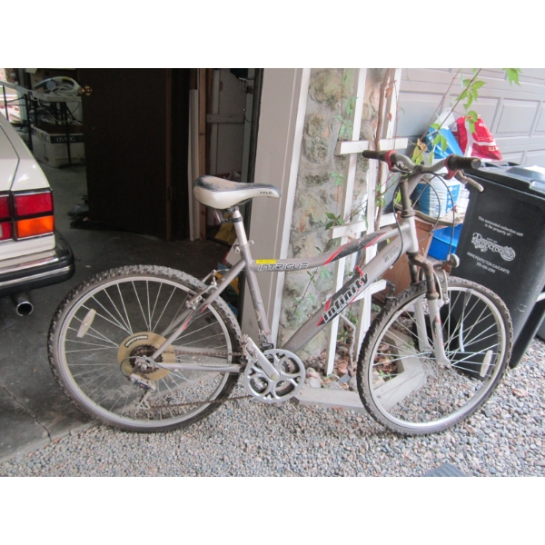 INFINITY 21 SPEED MOUNTAIN BIKE