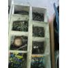 Image 2 : 3 WOODEN TOTES W/MISC. NUTS & BOLTS, NAILS, ETC.