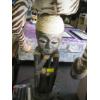 Image 2 : MOUNTED ZEBRA ON CARVED STAND