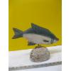 Image 2 : HAND CARVED FISH ON ROCK BY JAMES HADDEN