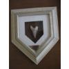 Image 2 : 2 BOX FRAMED ITEMS - SNUFF BOTTLE & A SHARKS TOOTH
