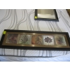Image 1 : FRAMED PRINT OF THE LEAVES