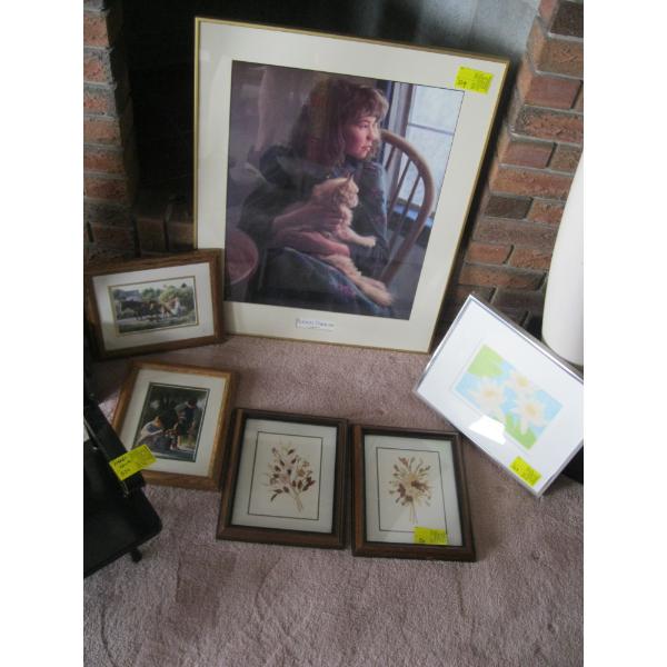 6 FRAMED PICTURES