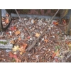 Image 3 : DRAGGER/SCOOPER BUCKET