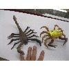 Image 1 : 2 WOODEN FIGURINES - CRAB & SCORPION