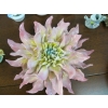 Image 2 : CHINA FLORALS, SM. MIRROR, ETC.