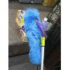 Image 2 : SWIFFER FLOOR CLEANER