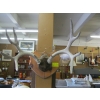 Image 1 : PAIR OF DEER HORNS