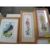 Image 2 : SET OF 4 PRINTS