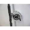 Image 2 : DIAWA ROD & REEL