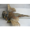 Image 1 : MOUNTED OWL & PHEASANT - OWL'S HEAD IS LOOSE