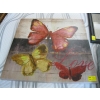 Image 1 : BUTTERFLY PICTURE