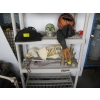 Image 7 : LG. LOT OF ASST. HALLOWEEN DECORATIONS