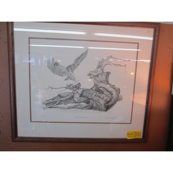 FRAMED PRINT BY JOHN CURRAN, 16/195, GREAT HORNED OWL