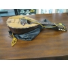 Image 2 : BELINDA SILVESTRI MANDOLIN