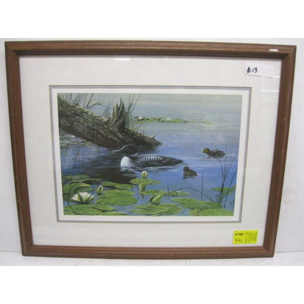 NUMBERED FRAMED PRINT OF THE LOON & CHICKS