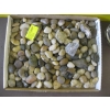 Image 2 : LG. GLASS VASE W/DÉCOR & FLAT OF POLISHED ROCKS