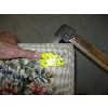 Image 2 : NEEDLEPOINT UPHOLSTERED STOOL