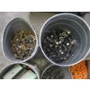 Image 2 : ASST. CONTAINERS OF BOLTS