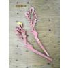 Image 1 : 2 CHAIN CINCHES