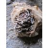 Image 2 : 2 PAIRS OF TIRE CHAINS
