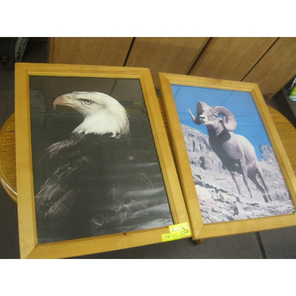 PAIR OF FRAMED PICTURES