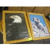 Image 1 : PAIR OF FRAMED PICTURES