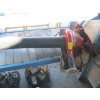 Image 1 : TORO BLOWER VACUUM