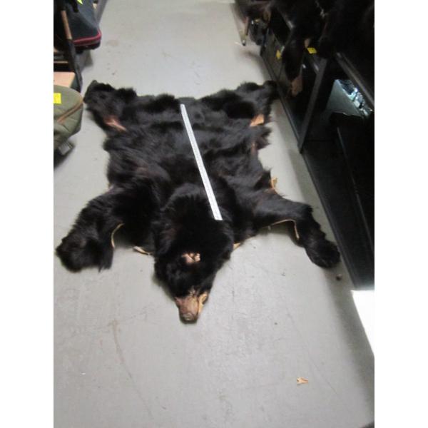 TANNED BLACK BEAR HIDE