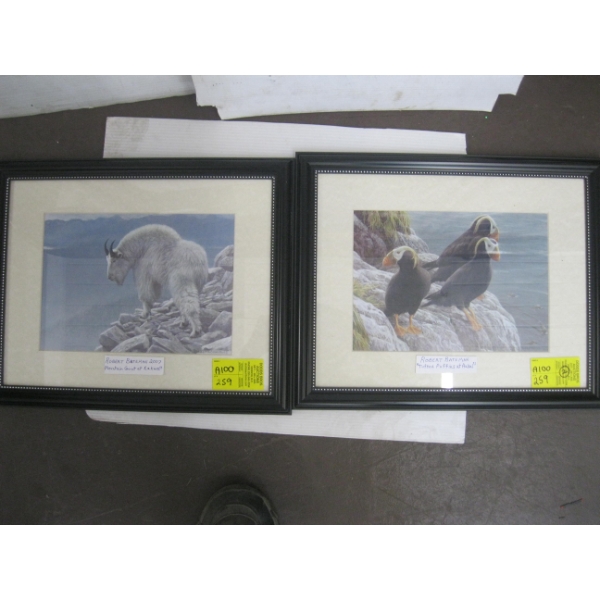 2 FRAMED ROBERT BATEMAN PRINTS - MOUNTAIN GOAT & PUFFINS