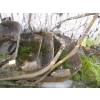 Image 4 : 5 DRAG BUCKETS