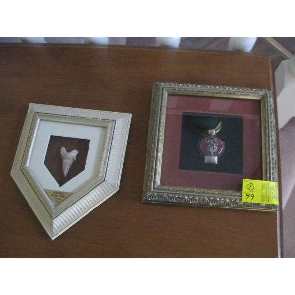 2 BOX FRAMED ITEMS - SNUFF BOTTLE & A SHARKS TOOTH