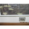 Image 3 : PAUL RANKIN NUMBERED FRAMED SIGNED PRINT "SHALLOW ROOTS" W/MATCHING STAMP