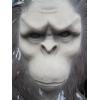 Image 3 : SASQUATCH