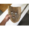Image 2 : GUATEMALAN CARVED MASK