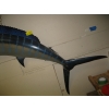 Image 3 : MOUNTED MARLIN